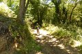 20220709-132103-[PAUxl]